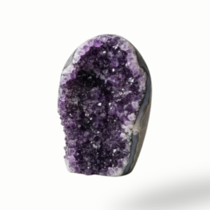 Uraguay Amy Flower Cave 32cm high